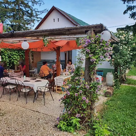 Koppany Pines Rewild Escapes - Hungarian Village Panzio Guest house Koppanyszanto