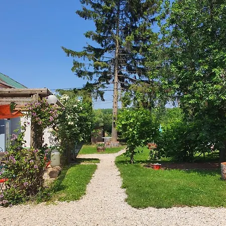 Koppany Pines Rewild Escapes - Hungarian Village Panzio Guest house