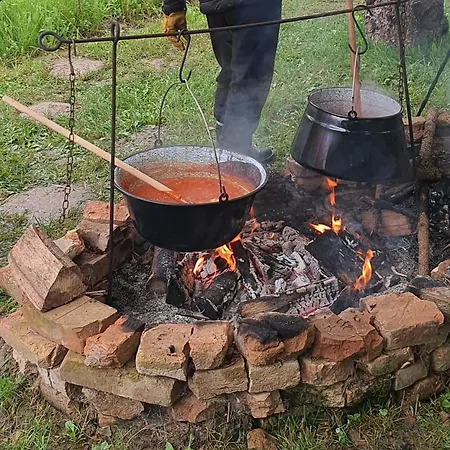 Pensjonat Koppany Pines Rewild Escapes - Hungarian Village Vendeghaz Koppanyszanto