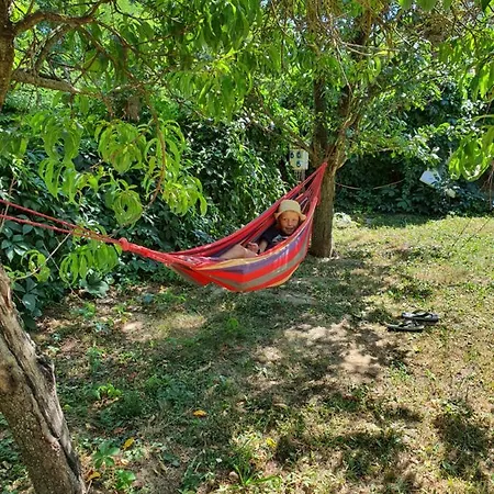 Koppany Pines Rewild Escapes - Hungarian Village Vendeghaz