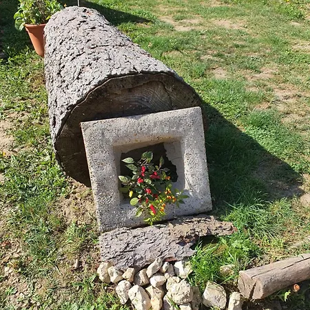 Pensjonat Koppany Pines Rewild Escapes - Hungarian Village Vendeghaz