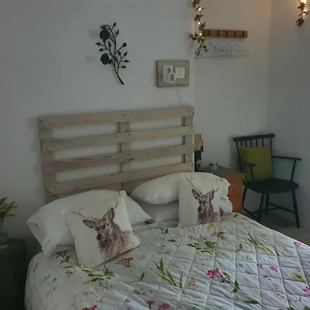 Koppany Pines Rewild Escapes - Hungarian Village Vendeghaz Koppanyszanto