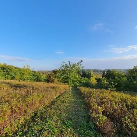 Koppany Pines Rewild Escapes - Hungarian Village Panzio * Koppanyszanto