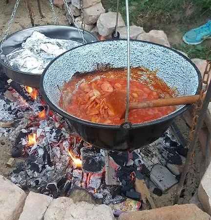 Koppany Pines Rewild Escapes - Hungarian Village Vendeghaz Koppanyszanto