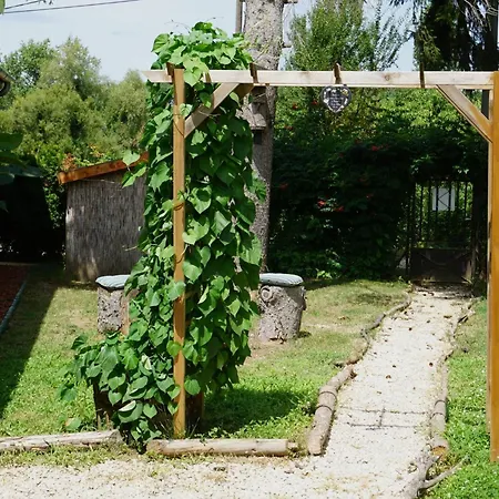 Koppány Pines Koppányszántó