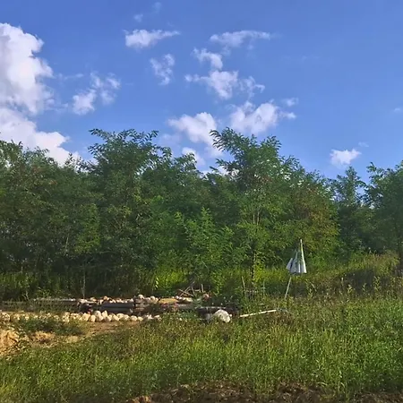 Koppany Pines Rewild Escapes - Hungarian Village Vendeghaz Pensjonat