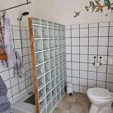 Koppany Pines Rewild Escapes - Hungarian Village Panzio Guest house Koppanyszanto