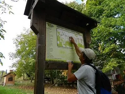 Koppany Pines Rewild Escapes - Hungarian Village Vendeghaz Pensjonat 4*