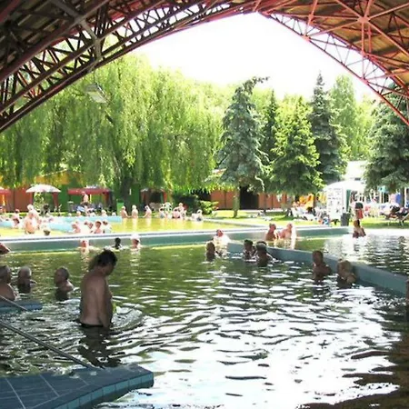 Koppany Pines - Hungarian Village Vendeghaz 3*