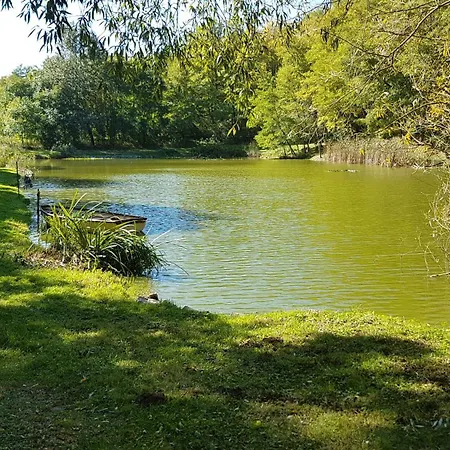 Pensjonat Koppany Pines Rewild Escapes - Hungarian Village Vendeghaz Koppanyszanto