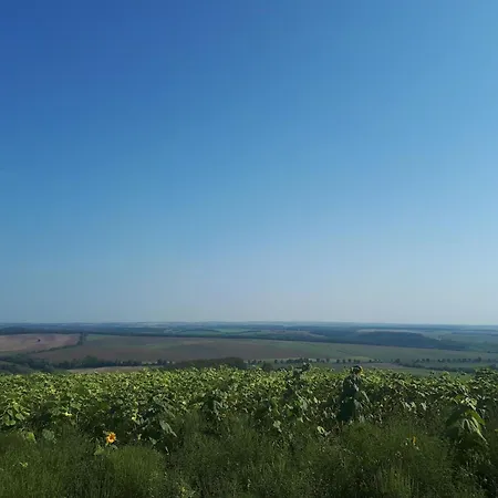 Koppany Pines Rewild Escapes - Hungarian Village Vendeghaz Koppanyszanto
