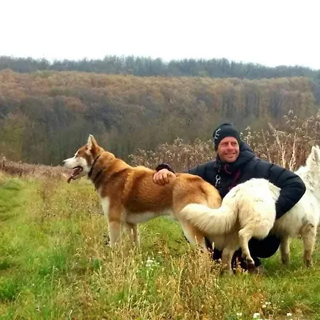 Koppany Pines Rewild Escapes - Hungarian Village Vendeghaz Pensjonat Koppanyszanto
