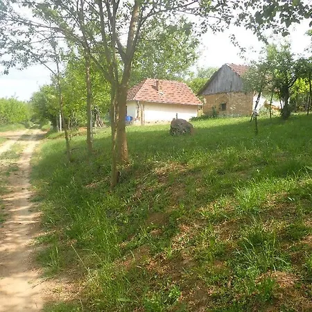 Koppany Pines - Hungarian Village Vendeghaz 招待所 Koppanyszanto