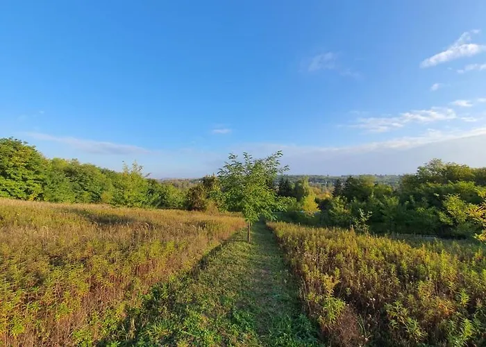 Koppany Pines Rewild Escapes - Hungarian Village Vendeghaz 3* Koppanyszanto