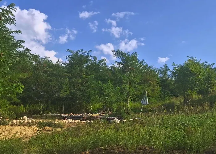 Koppany Pines Rewild Escapes - Hungarian Village Vendeghaz 招待所