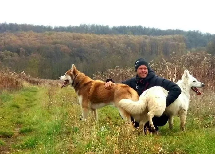 Koppany Pines Rewild Escapes - Hungarian Village Vendeghaz Pensionat Koppanyszanto