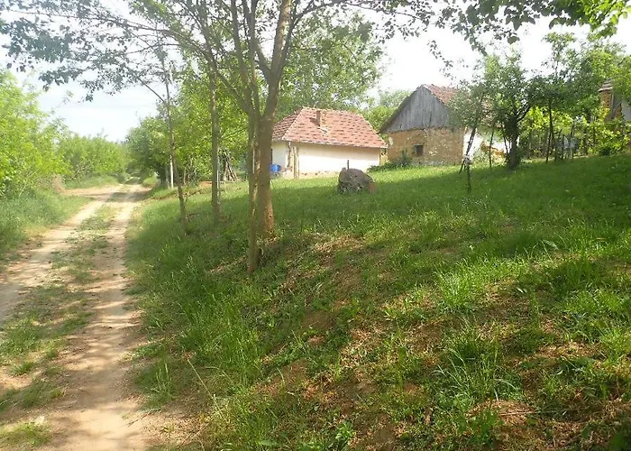 Koppany Pines Rewild Escapes - Hungarian Village Vendeghaz 招待所 Koppanyszanto