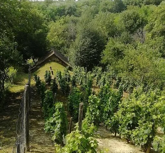 招待所 Koppany Pines Rewild Escapes - Hungarian Village Vendeghaz Koppanyszanto